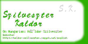 szilveszter kaldor business card